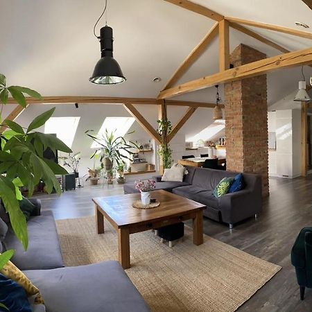 Zeromskiego Apartament Przemysl Bagian luar foto